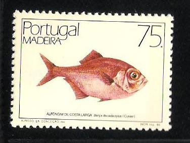 Fauna marina pesci