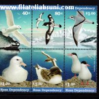 Uccelli antartici